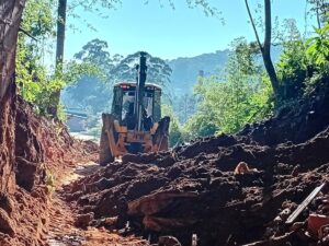 Desobstrução do acesso ao túnel da extinta estrada de ferro em terreno do Município