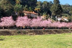 Cantinho-das-Cerejeiras-Teresopolis-03