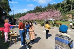 Cantinho-das-Cerejeiras-Teresopolis-06