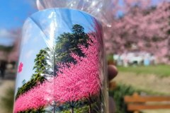 canelas-personalizadas-Cantinho-das-Cerejeiras-Teresopolis-02