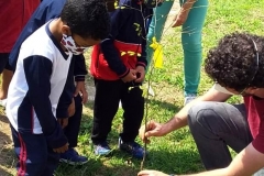Plantio-de-mudas-de-arvores-no-Ciep-Amaury-Amaral-dos-Santos-4