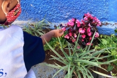 Plantio-de-mudas-na-Creche-Amor-Perfeito-3