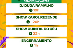 Carnaval-2025-em-Teresopolis-05 Carnaval-2025-em-Teresopolis-05