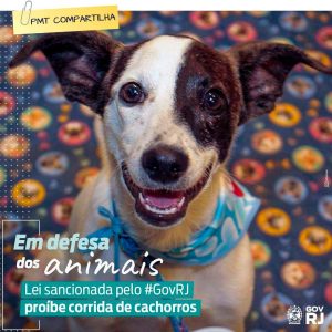 Prefeitura de Teresópolis apoia iniciativa do Governo do Estado em defesa dos animais