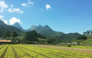 Projeto ‘Proteger Teresópolis Rural’