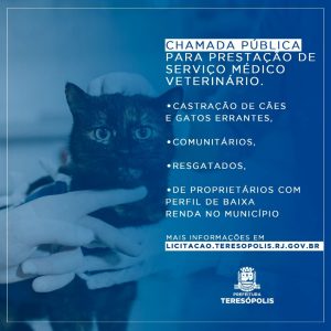 Teresópolis credencia clínicas veterinárias para castração gratuita de cães e gatos