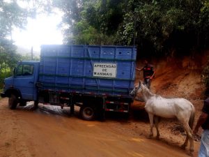 Cavalo debilitado resgatado pela COPBEA em Teresópolis